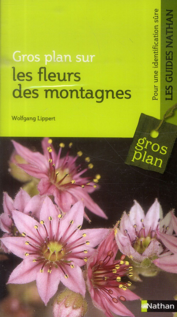 Les fleurs de montagne