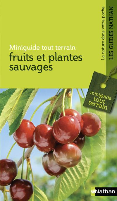 Fruits et plantes sauvages