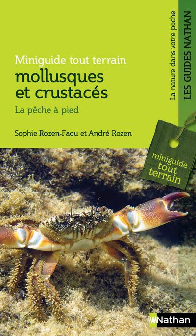 Mollusques et crustacés. La pêche à pied