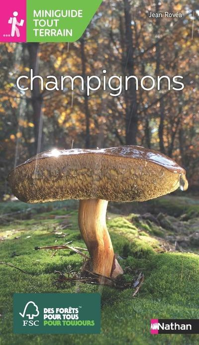 Champignons