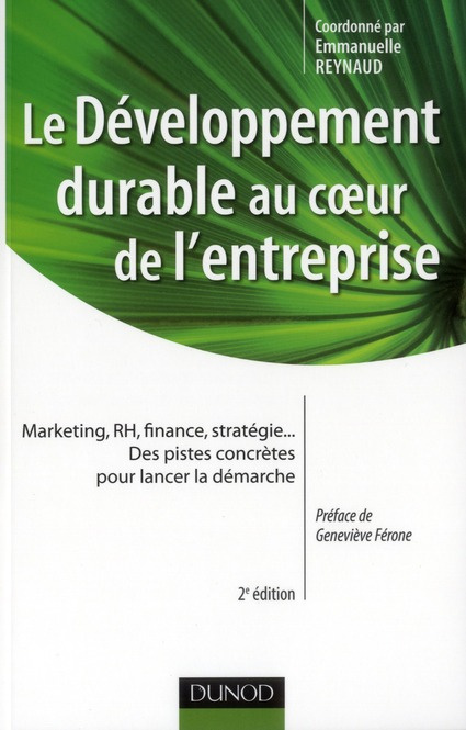 Le développement durable au coeur de l'entreprise. Marketing, RH, finance, stratégie... Des pistes c