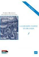 La grande famine en Irlande