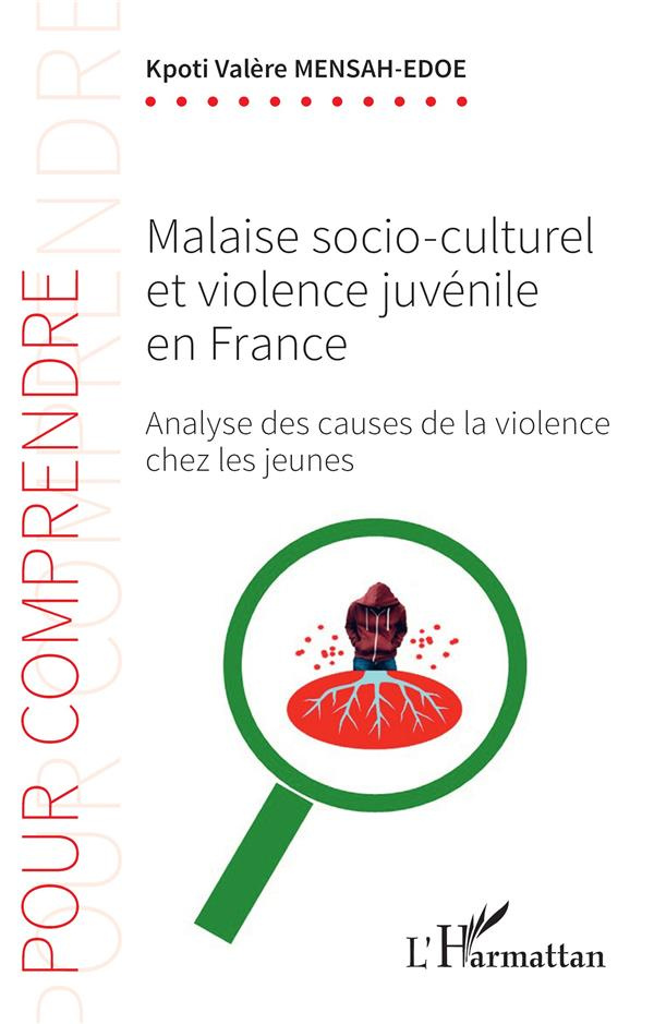 Malaise socio-culturel et violence juvénile en France. Analyse des causes de la violence chez les je