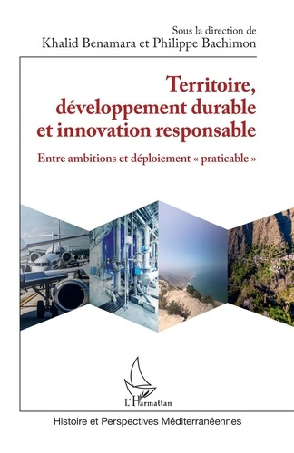 Territoire, développement durable et innovation responsable. Entre ambitions et déploiement "pratica