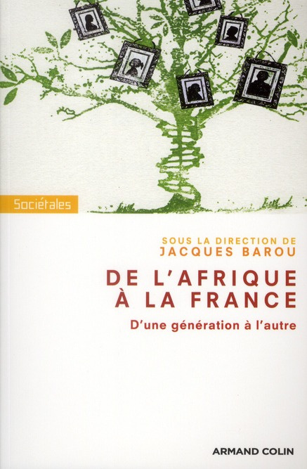 De l'Afrique à la France. D?une génération à l?autre