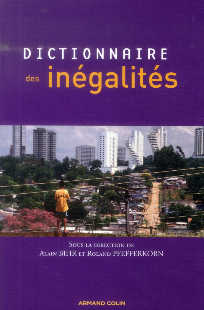 Dictionnaire des inégalités
