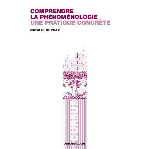 Comprendre la phénoménologie. Une pratique concrète