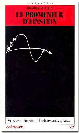 Le Promeneur d'Einstein. Vers une théorie de l'information générale