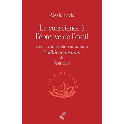 La conscience à l'épreuve de l'éveil