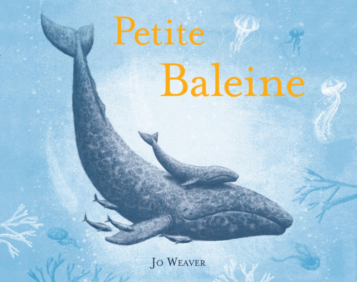 Petite baleine
