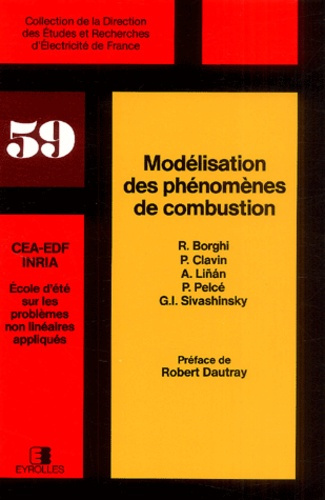 Modélisation des phénomènes de combustion