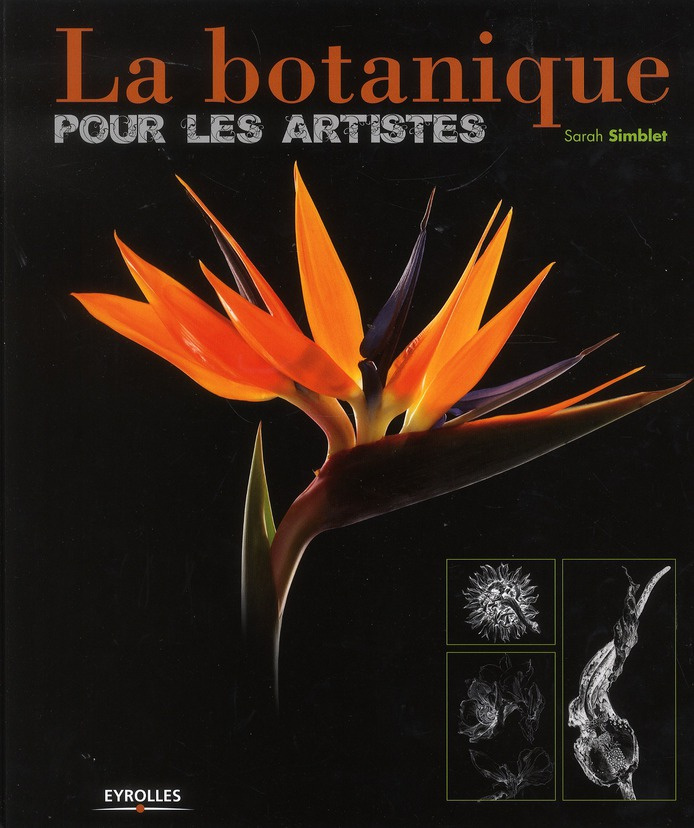 La botanique pour les artistes