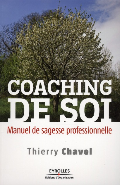 Coaching de soi. Manuel de sagesse professionnelle