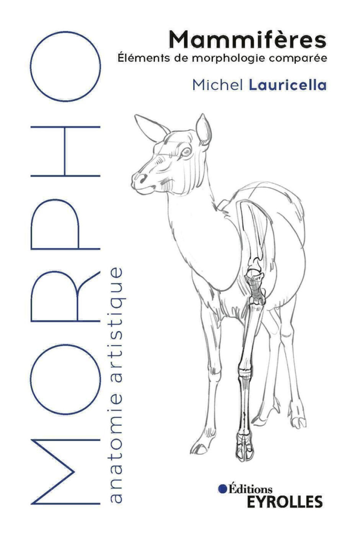 Morpho Mammifères. Eléments de morphologie comparée