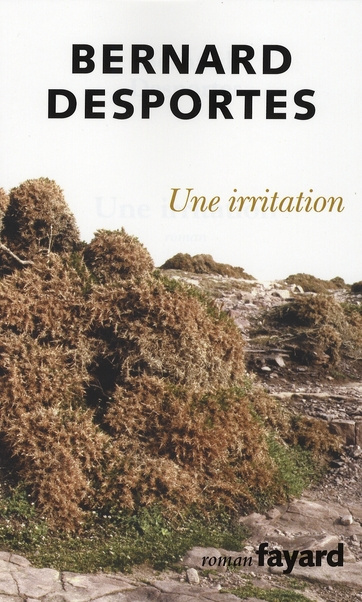 Une irritation