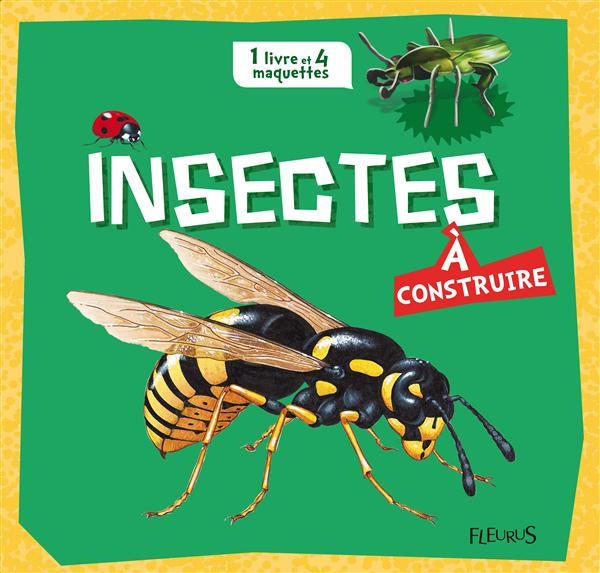 Insectes à construire