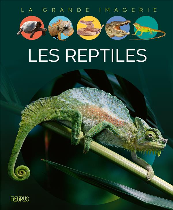 L'imagerie animale. Les reptiles