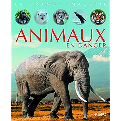 Animaux en danger