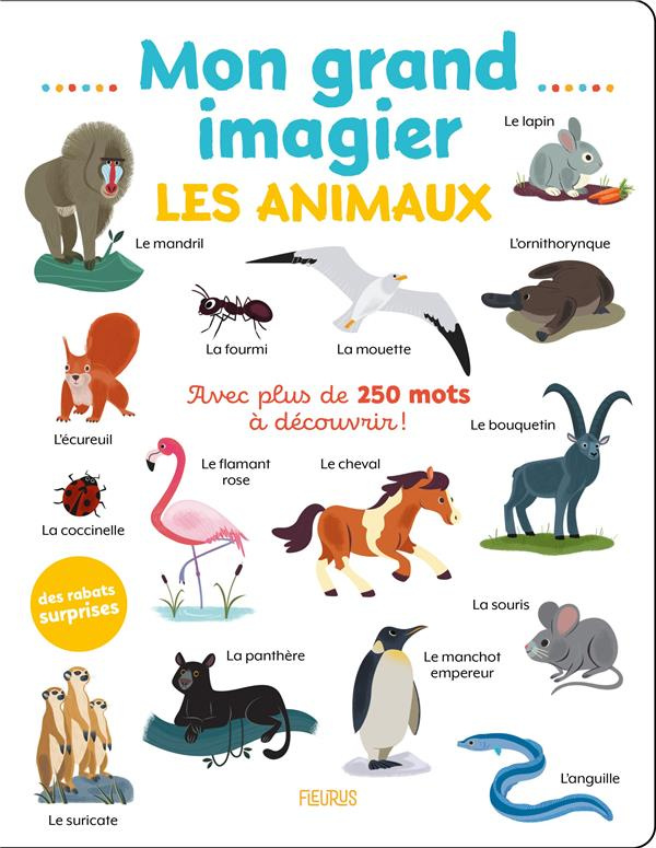 Mon grand imagier Les animaux