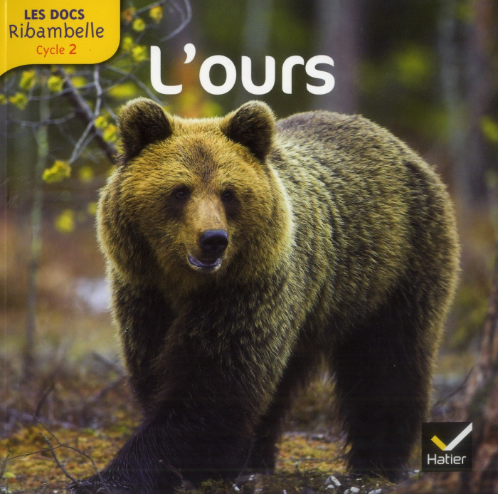 L'ours. Grande section, CP, CE1 (Cycle 2), Edition 2013