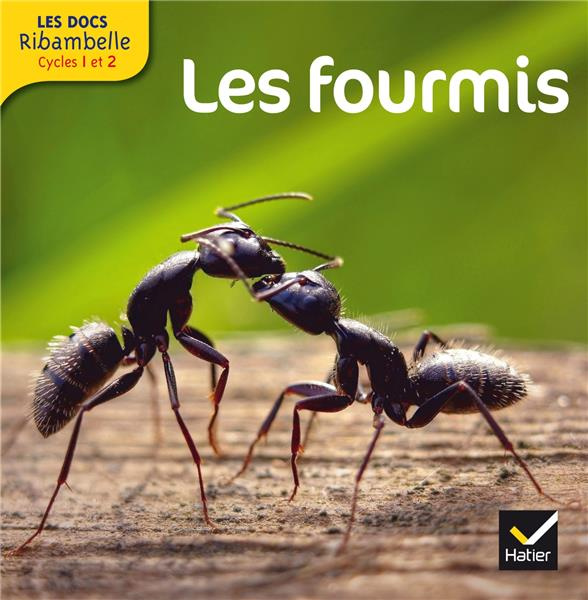 Les fourmis. Grande section, CP, CE1 (Cycle 2), Edition 2013