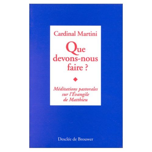 QUE DEVONS-NOUS FAIRE ? Méditations pastorales sur l'Evangile de Matthieu