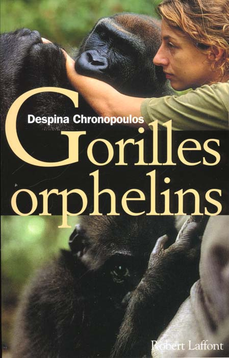 Gorilles orphelins