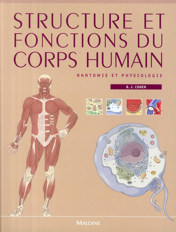 Structure et fonctions du corps humain. Anatomie et physiologie