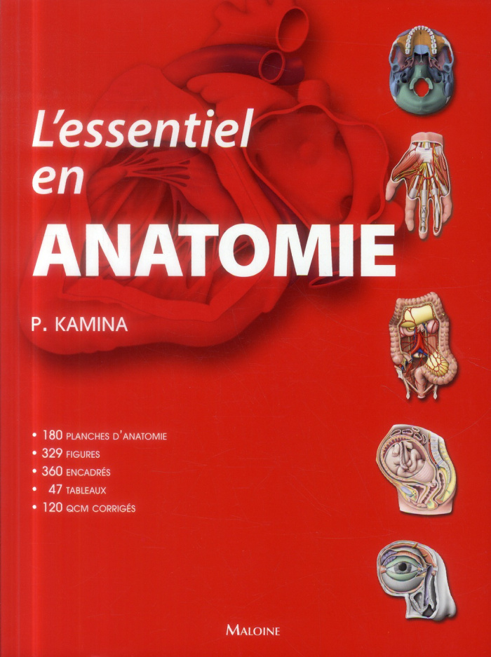 L'essentiel en anatomie