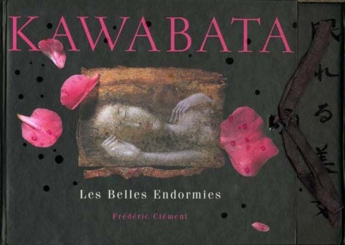 LES BELLES ENDORMIES