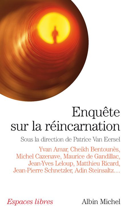 Enquête sur la réincarnation
