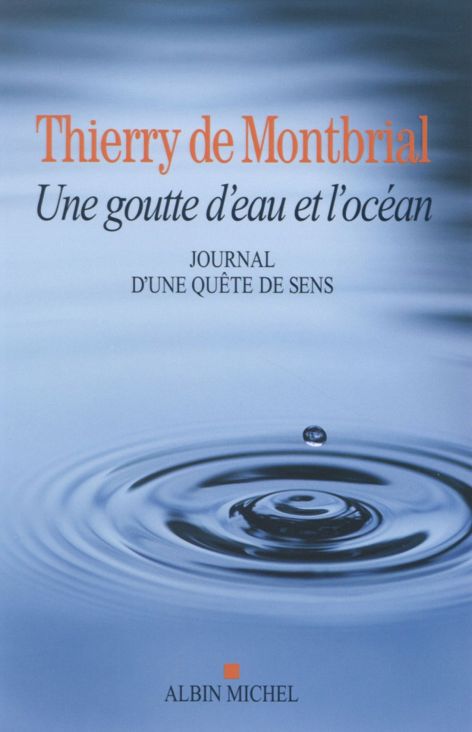Une goutte d'eau et l'océan. Journal d'une quête de sens 1977-2014