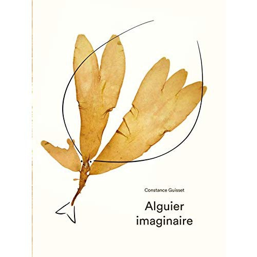 Alguier imaginaire