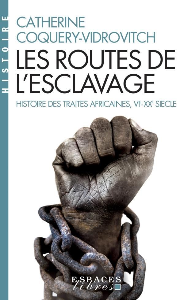 Les routes de l'esclavage. Histoire des traites africaines VIe-XXe siècle