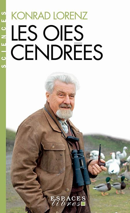 Les Oies cendrées
