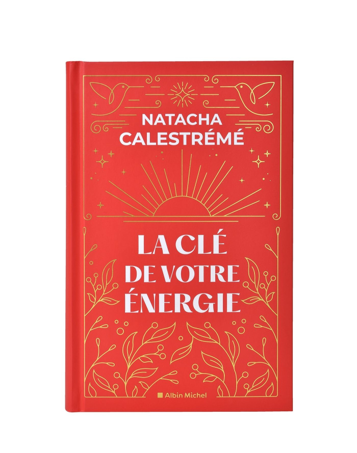 La clé de votre énergie. 22 protocoles pour vous libérer émotionnellement. Avec 52 cartes, Edition c