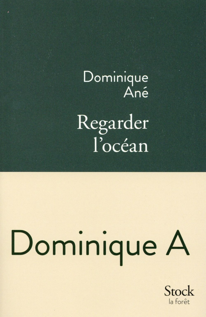 Regarder l'océan