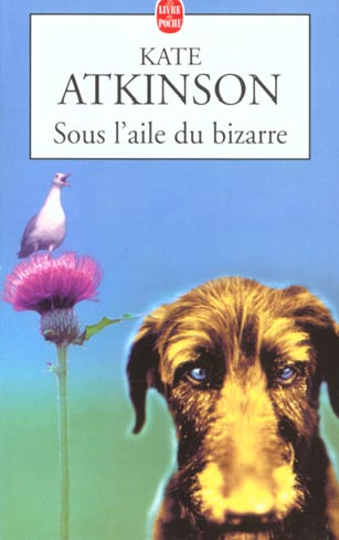 Sous l'aile du bizarre