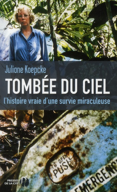 Tombée du ciel. L'histoire vraie d'une survie miraculeuse