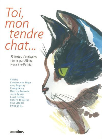 Toi, mon tendre chat