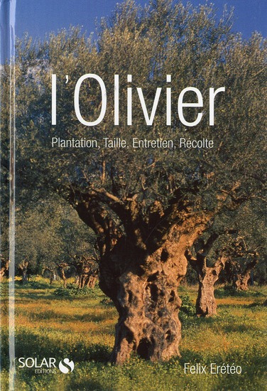 L'OLIVIER. Plantation, taille, entretien, récolte, le gel de 1985