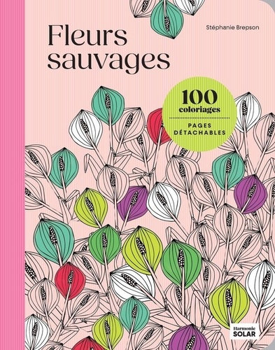 100 coloriages : Fleurs sauvages - Pages détachables