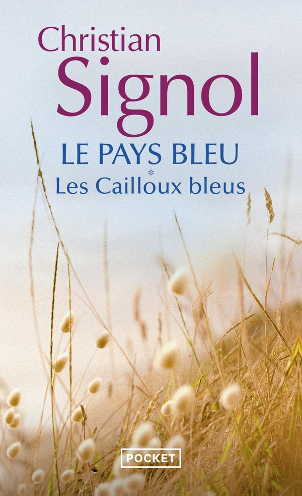 Le Pays bleu Tome 1 : Les cailloux bleus