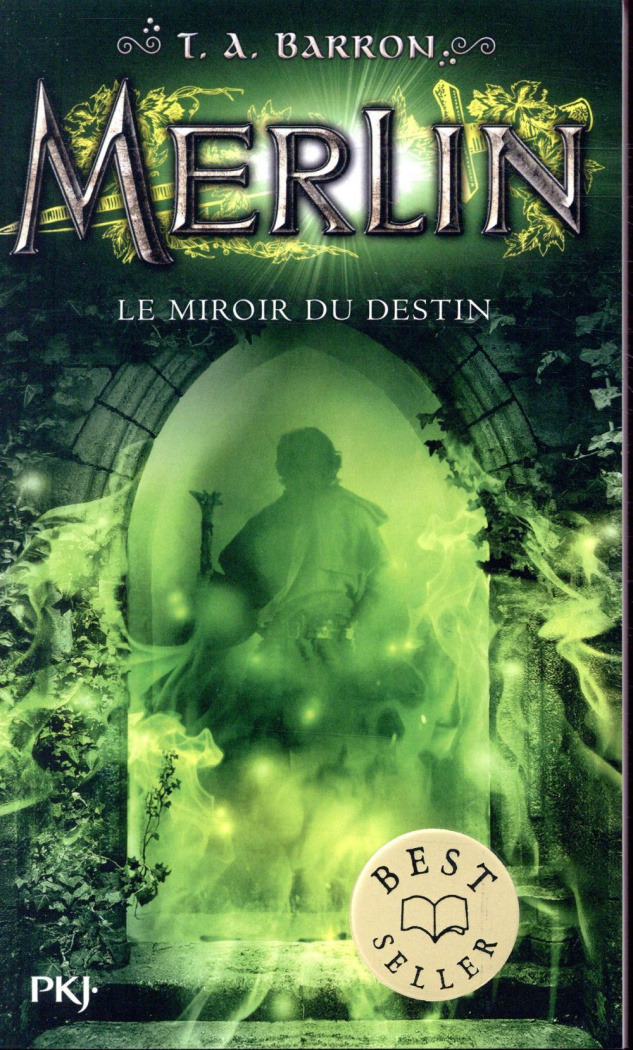 Merlin Tome 4 : Le miroir du destin