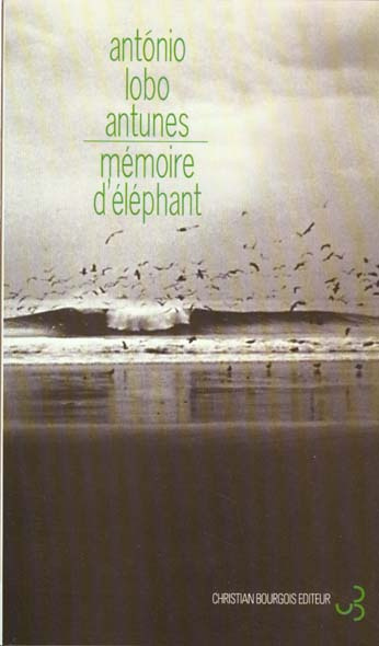 Mémoire d'éléphant