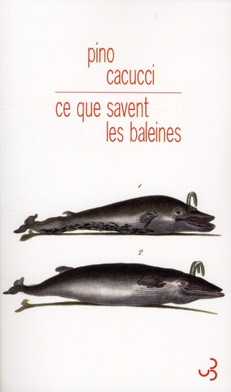 Ce que savent les baleines