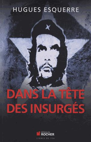 Dans la tête des insurgés