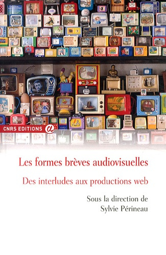 Les formes brèves audiovisuelles. Des interludes aux productions web