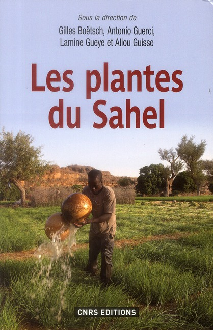 Les plantes du Sahel. Usages et enjeux sociaux