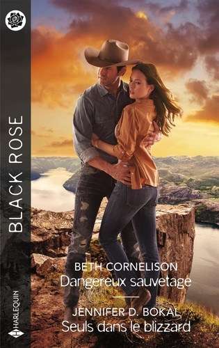 Dangereux sauvetage ; Seuls dans le blizzard